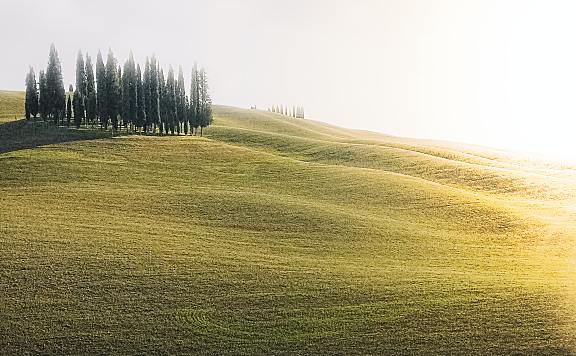 苏宁易购和京东是一家吗?区别是什么?