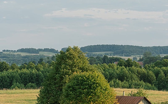 阿里1688严选厂货通怎么退出？厂货通可以退出吗？