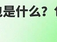 服务外包是什么？包含哪些内容？