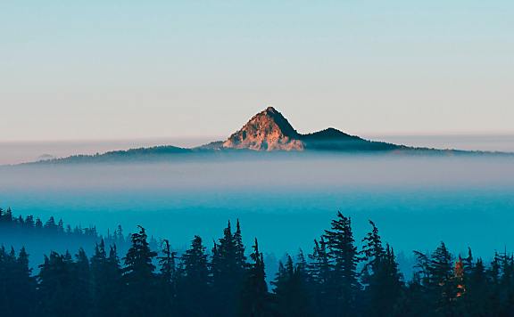 新媒体平台有哪些?怎么做新媒体?