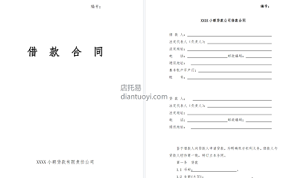 小额贷款公司借款合同模板范本下载，共10页