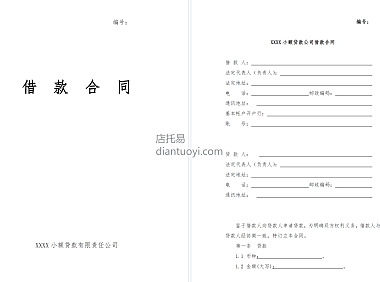 小额贷款公司借款合同模板范本下载，共10页