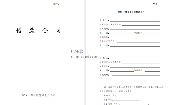 小额贷款公司借款合同模板范本下载，共10页