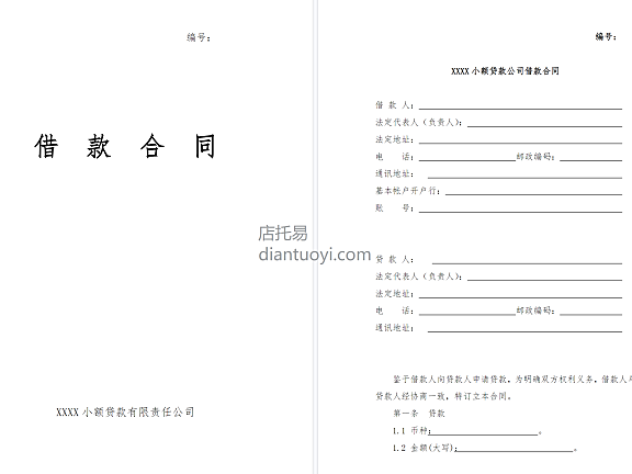 小额贷款公司借款合同模板范本下载，共10页