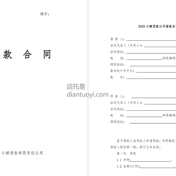 小额贷款公司借款合同模板范本下载，共10页