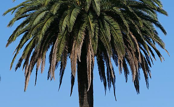 阿里1688商家回复买家评价的时效是多少天内可以回复？