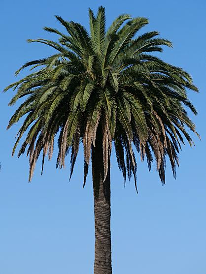 阿里1688商家回复买家评价的时效是多少天内可以回复?