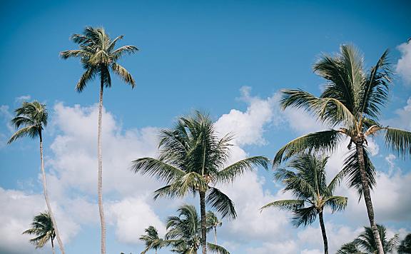 站长寄语：所有的伟大，都源于一个勇敢的开始！