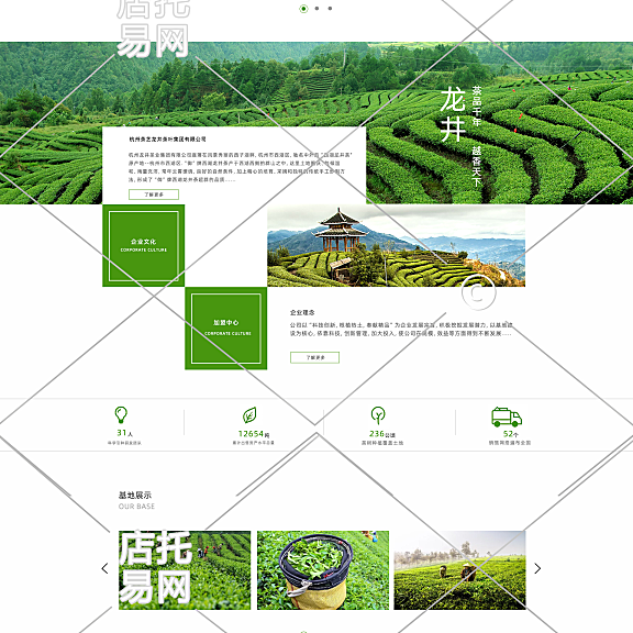 茶叶pc端店铺首页1-005