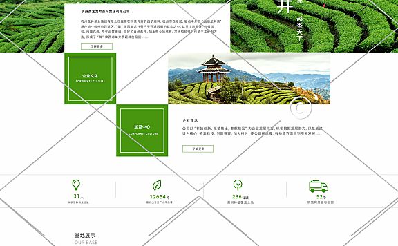 茶叶pc端店铺首页1-005