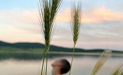 拼多多评价规则最新版，2020年9月17日最新修订