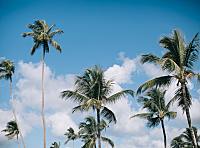 图片素材投稿上传SOP视频教程