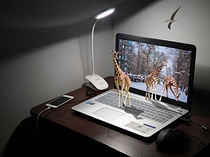 拼多多店铺入驻常见问题汇总，你想在拼多多开店的疑问都在这里