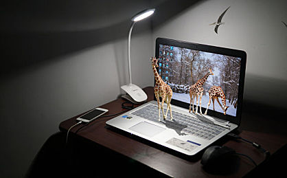 淘宝培训教程的内容有哪些？小编这篇文章告诉你。