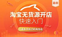 淘宝无货源开店在线视频教程，零基础电商运营高清录播课