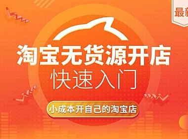 淘宝无货源开店在线视频教程，零基础电商运营高清录播课