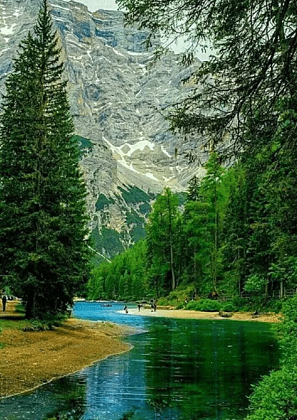 商家成长层级在哪里查看？