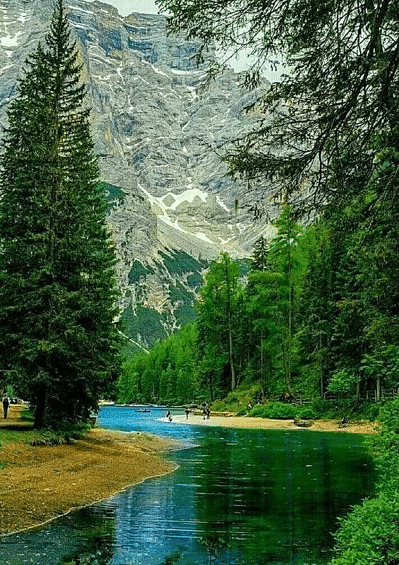 商家成长层级在哪里查看?