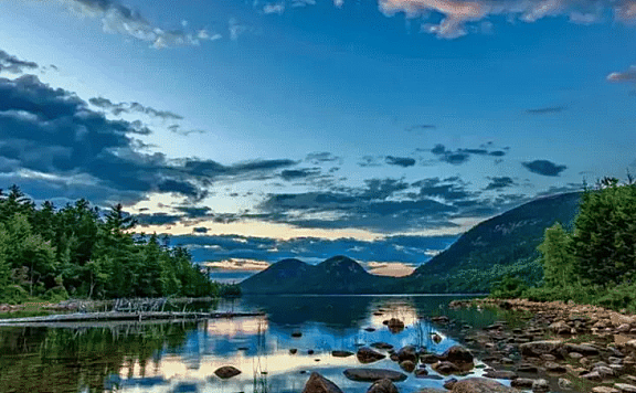 淘宝网牛肉行业管理规范