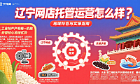辽宁网店托管运营怎么样？地域特色与实操指南