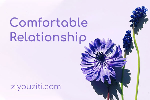 Comfortaa字体包在线下载，电商设计免费可商用