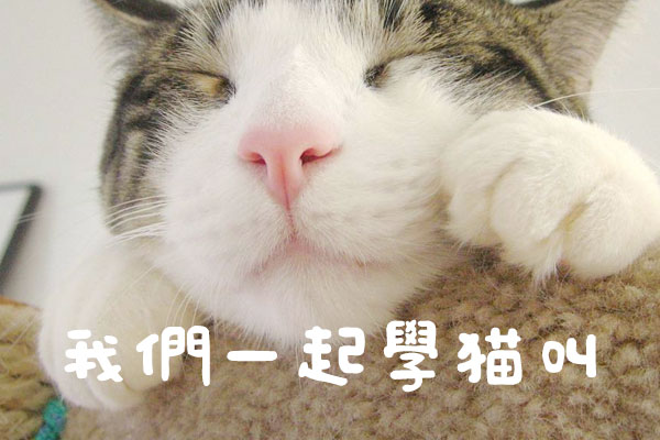 日系豆豆体えるまー ElmerFont字体包下载,电商设计免费可商用