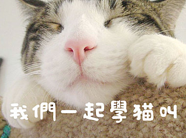 日系豆豆体えるまー ElmerFont字体包下载，电商设计免费可商用