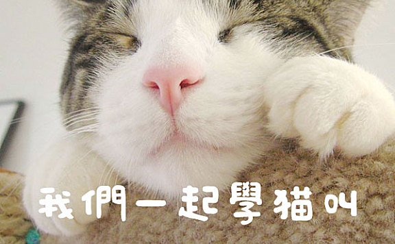 日系豆豆体えるまー ElmerFont字体包下载,电商设计免费可商用