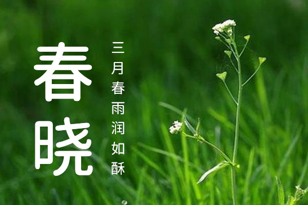 资源圆体Resource Han Rounded字体包下载，电商设计免费可商用