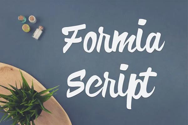 Formia Script字体包在线下载,电商设计免费可商用