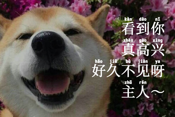 萌神拼音体字体包在线下载，电商设计免费可商用中文字体