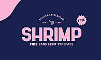 SHRIMP字体包在线下载，电商设计免费可商用英文字体