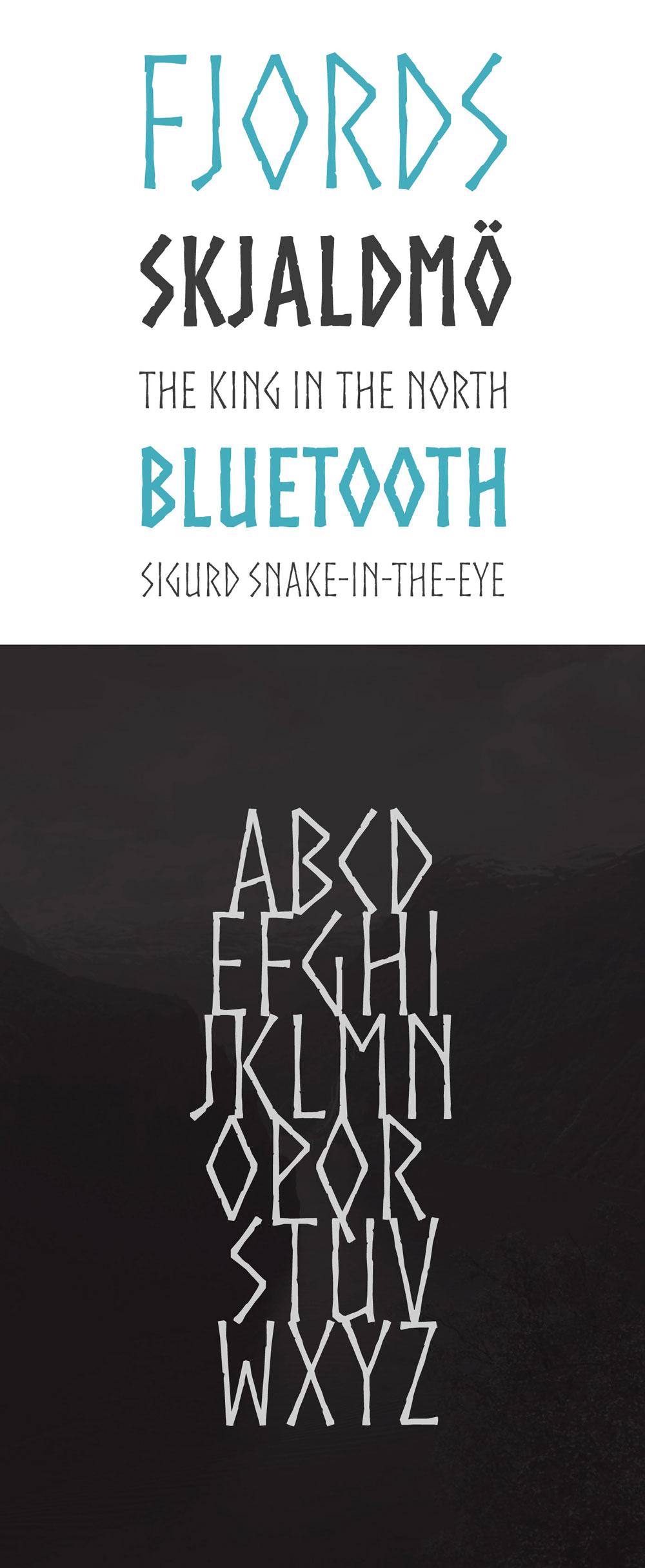 Norse字体包在线下载，电商包装设计印花免费可商用