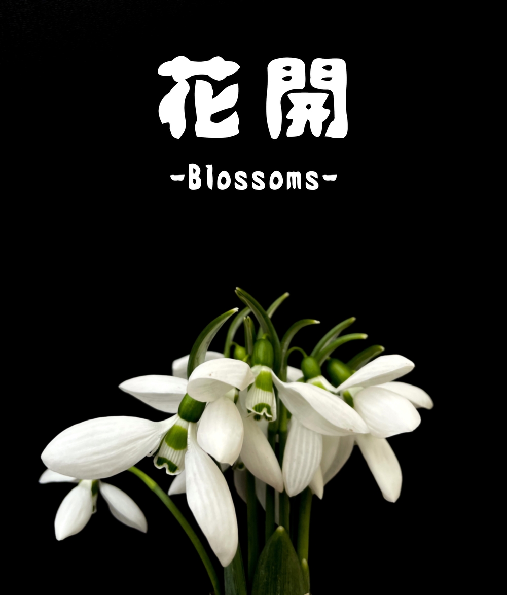 idfont 壊雲体字体包在线下载，免费可商用