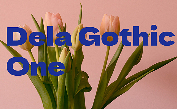 德拉黑体Dela Gothic One黑体字体下载,免费可商用