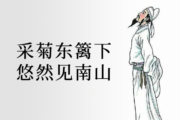 狮尾B2宋朝字体包在线下载，电商包装设计印花免费可商用