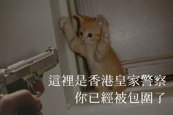 香港民间字集字体包在线下载，电商包装设计印花免费可商用