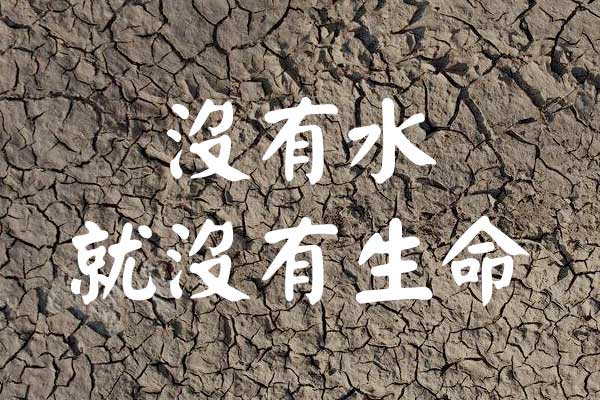 刻石录颜体字体包在线下载，电商包装设计印花免费可商用