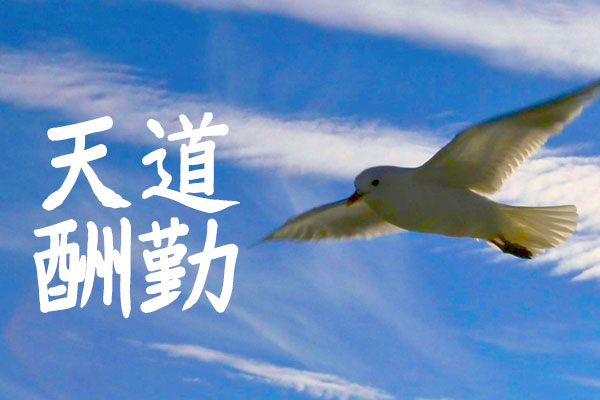 YOz毛笔体字体包在线下载,电商包装设计印花免费可商用