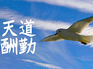 YOz毛笔体字体包在线下载，电商包装设计印花免费可商用