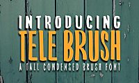 TeleBrush字体包在线下载，电商包装设计印花免费可商用