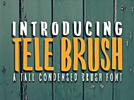 TeleBrush字体包在线下载，电商包装设计印花免费可商用