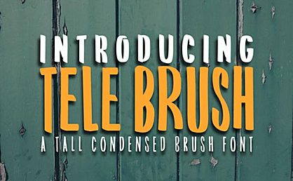 TeleBrush字体包在线下载，电商包装设计印花免费可商用