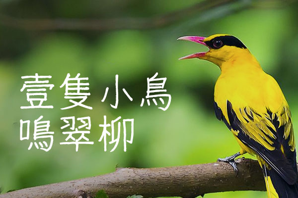 细鸣字体字体包在线下载，电商包装设计印花免费可商用