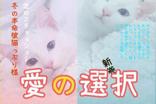 濑户字体字体包在线下载,电商包装设计印花免费可商用