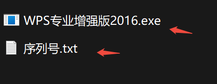 WPS2016专业增强版