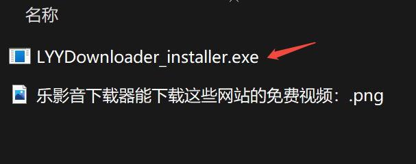 乐影音视频下载器LYY Downloader