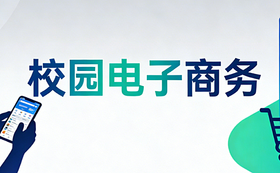 校园电子商务实践,解析学生创业项目运营模式与可持续发展路径探讨