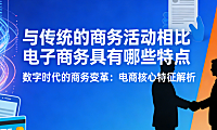 电子商务与传统商务对比，解析核心特点效率变革时空突破与用户体验差异探讨