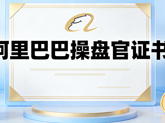 阿里巴巴操盘官证书，解析官方认证体系行业价值与能力提升路径探讨